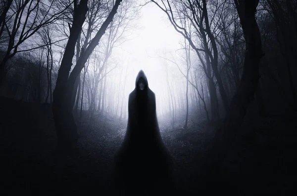 depositphotos 220818280 stock photo dark scary forest landscape mysterious